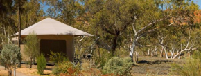 Squeakywindmill Boutique Tent B&B Alice Springs